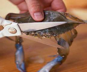 Cutting Crab