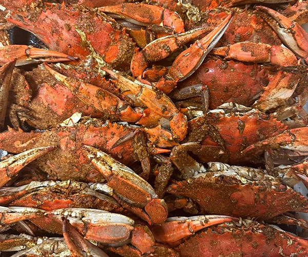 Steamed Crabs Eldersburg Maryland