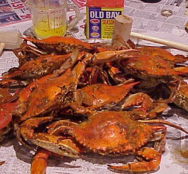 Steamed Crabs Old Bay